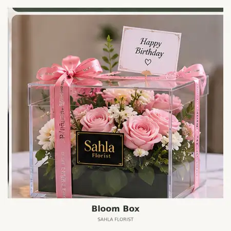 Bloom Box Sabu Raijua